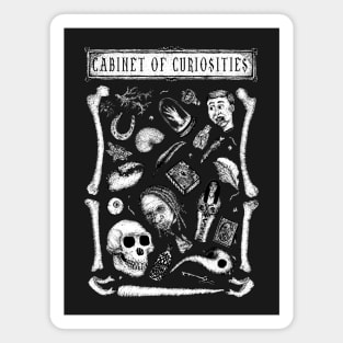 Cabinet of Curiosities Magnet